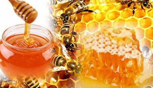 Khasiat madu , Madu , Manfaat madu bagi kesehatan