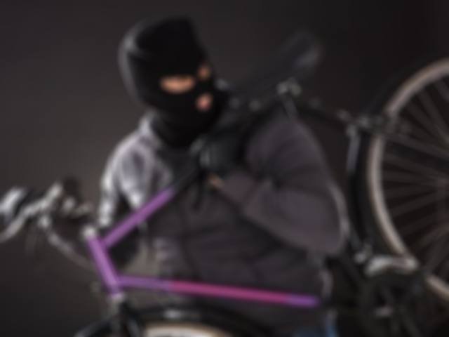 aksi pencurian sepeda , menjual sepeda curian , pidana penjara terhadap terdakwa