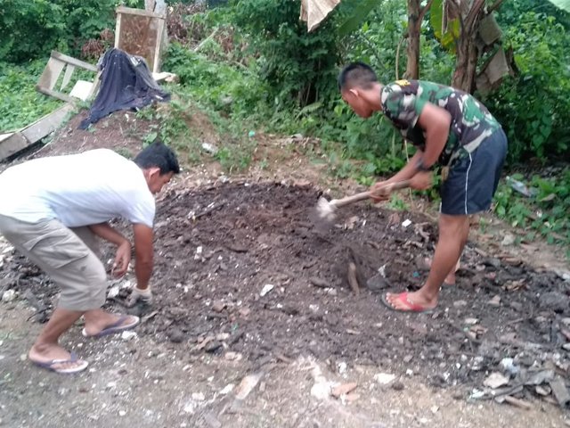 kampung agrowisata , membuat pupuk kompos , Tanaman Hias , tumbuh subur
