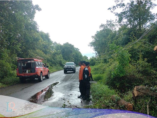 evakuasi pohon tumbang , Tim TRC BPBD Muba